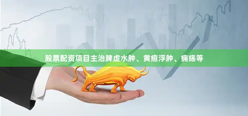 股票配资项目主治脾虚水肿、黄疸浮肿、痈疡等