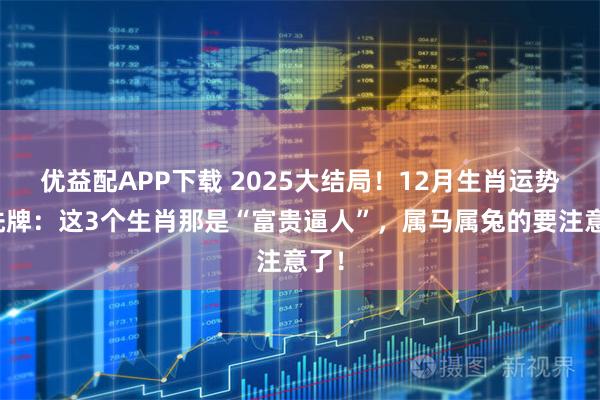 优益配APP下载 2025大结局！12月生肖运势大洗牌：这3个生肖那是“富贵逼人”，属马属兔的要注意了！