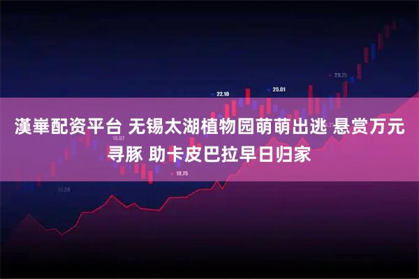 漢崋配资平台 无锡太湖植物园萌萌出逃 悬赏万元寻豚 助卡皮巴拉早日归家